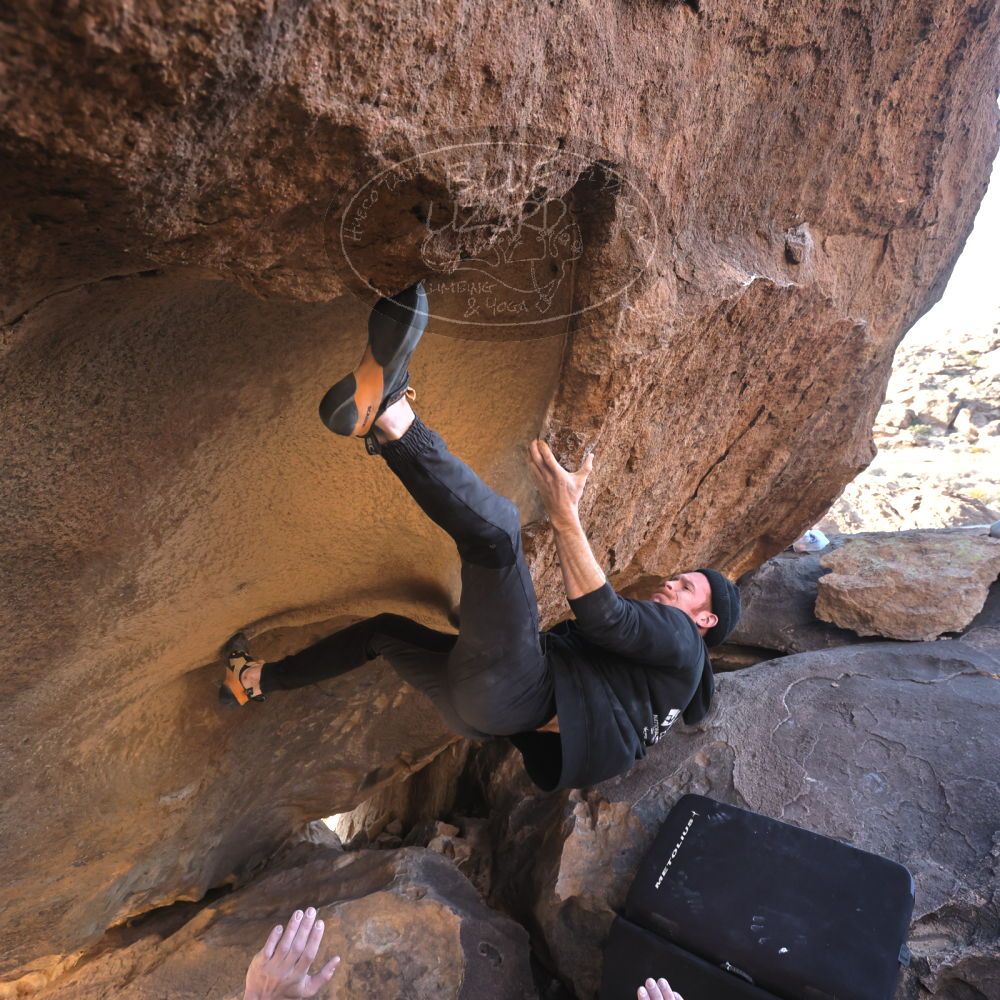 Filename: SRM_20230129_1541280.jpg
Aperture: f/5.6
Shutter Speed: 1/400
Body: Canon EOS R6
Lens: Canon EF 16-35mm f/2.8 L