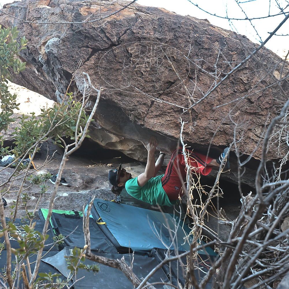 Filename: SRM_20230129_1546330.jpg
Aperture: f/5.6
Shutter Speed: 1/400
Body: Canon EOS R6
Lens: Canon EF 16-35mm f/2.8 L