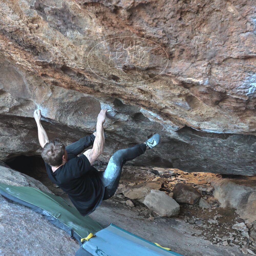 Filename: SRM_20230129_1548490.jpg
Aperture: f/5.6
Shutter Speed: 1/400
Body: Canon EOS R6
Lens: Canon EF 16-35mm f/2.8 L