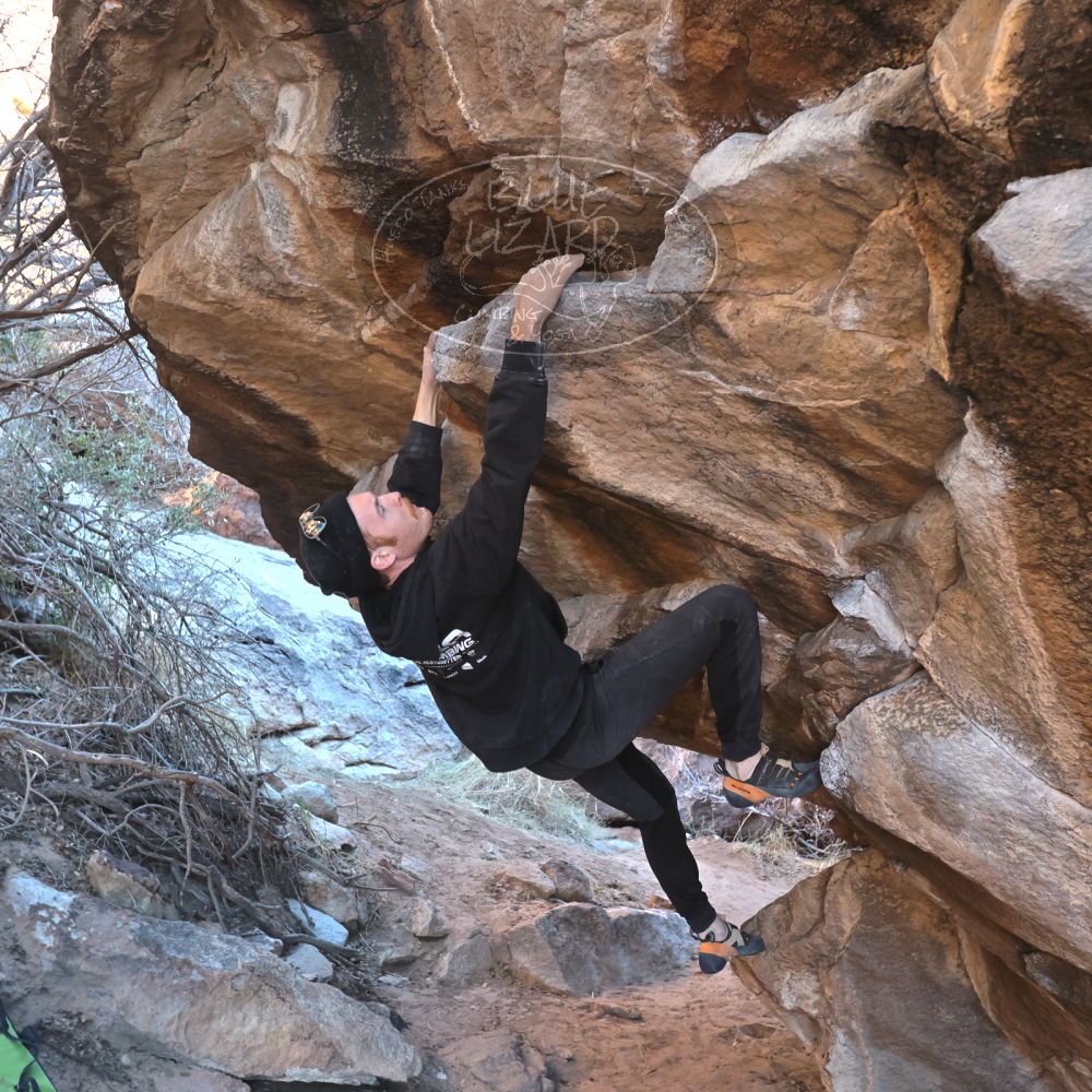 Filename: SRM_20230129_1636050.jpg
Aperture: f/4.5
Shutter Speed: 1/250
Body: Canon EOS R6
Lens: Canon EF 16-35mm f/2.8 L