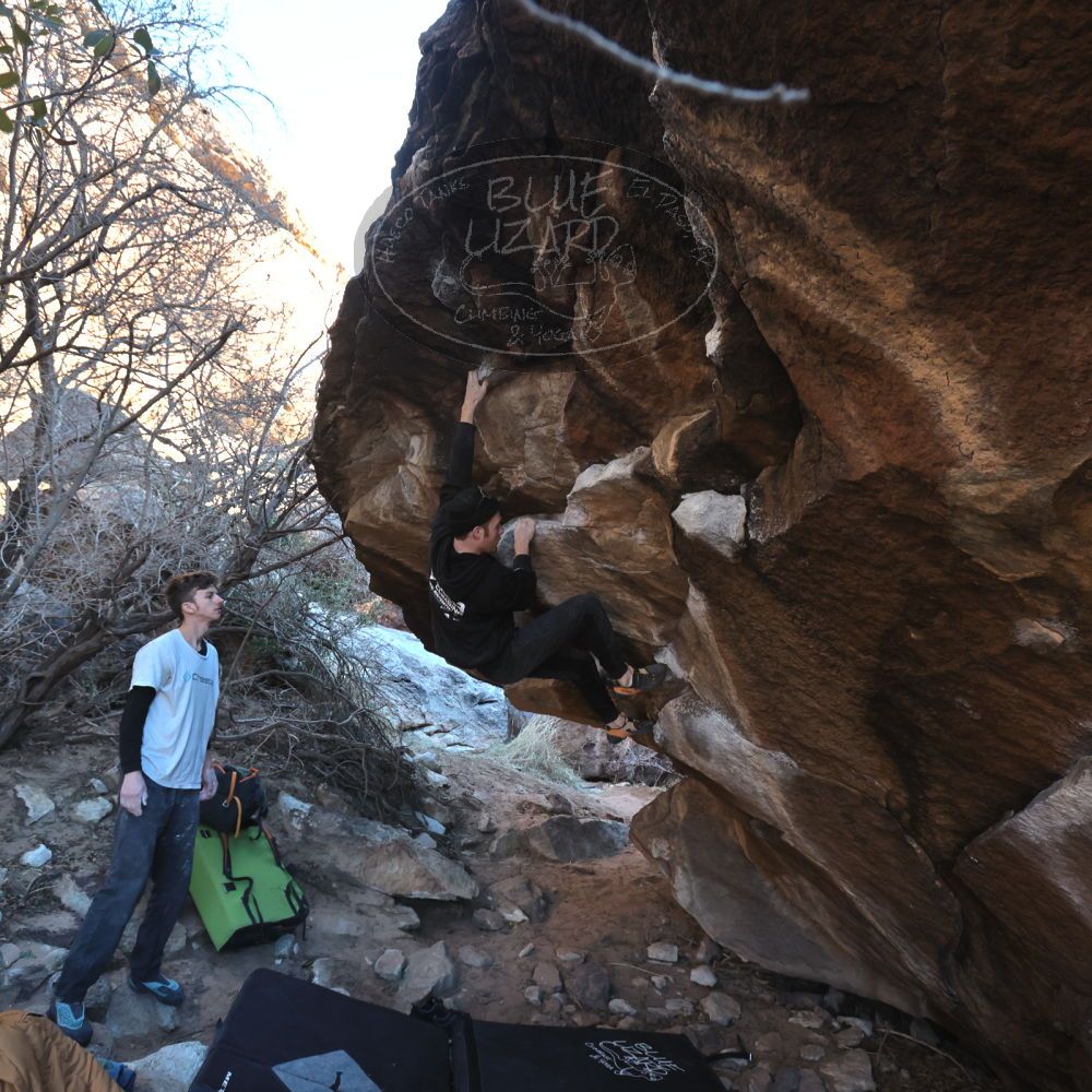 Filename: SRM_20230129_1636160.jpg
Aperture: f/5.6
Shutter Speed: 1/250
Body: Canon EOS R6
Lens: Canon EF 16-35mm f/2.8 L