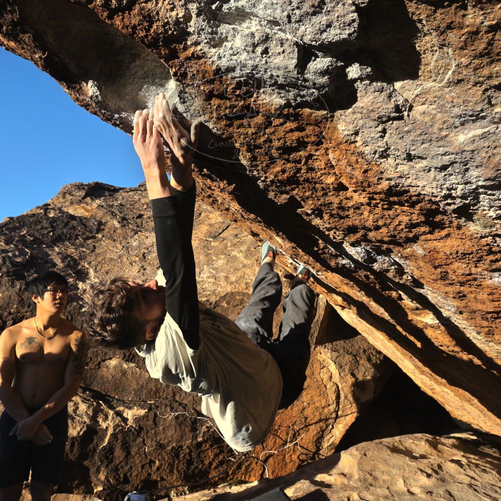 Filename: SRM_20230129_1649100.jpg
Aperture: f/8.0
Shutter Speed: 1/500
Body: Canon EOS R6
Lens: Canon EF 16-35mm f/2.8 L