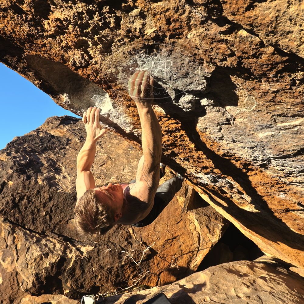 Filename: SRM_20230129_1650470.jpg
Aperture: f/8.0
Shutter Speed: 1/500
Body: Canon EOS R6
Lens: Canon EF 16-35mm f/2.8 L