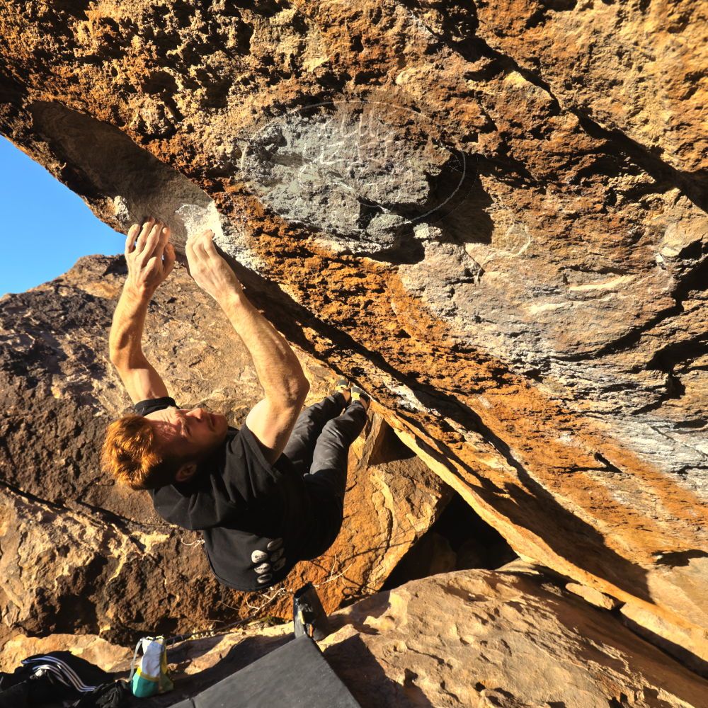 Filename: SRM_20230129_1651460.jpg
Aperture: f/8.0
Shutter Speed: 1/500
Body: Canon EOS R6
Lens: Canon EF 16-35mm f/2.8 L