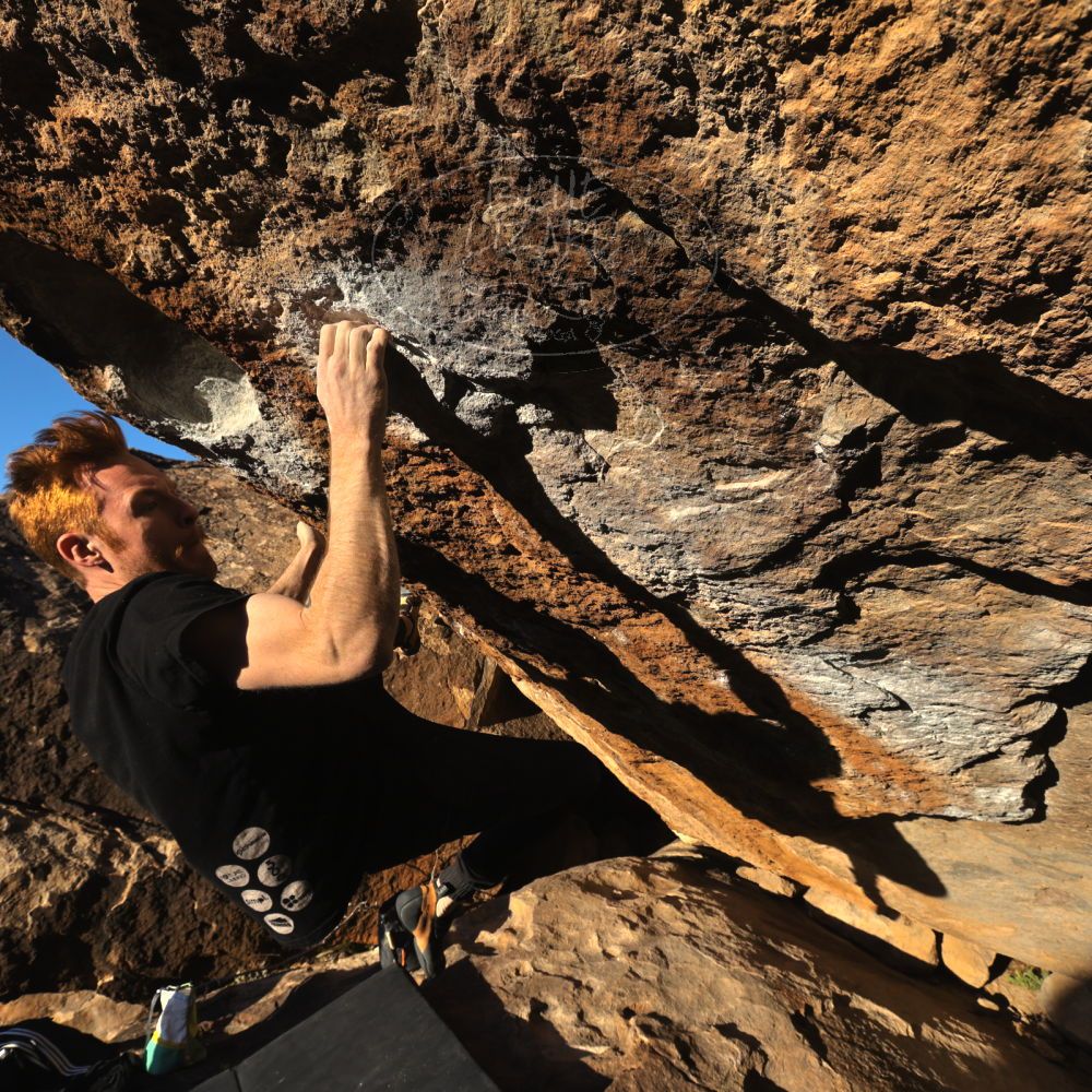 Filename: SRM_20230129_1651570.jpg
Aperture: f/8.0
Shutter Speed: 1/500
Body: Canon EOS R6
Lens: Canon EF 16-35mm f/2.8 L