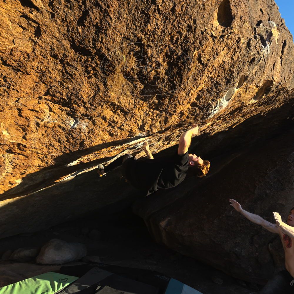 Filename: SRM_20230129_1703000.jpg
Aperture: f/5.6
Shutter Speed: 1/1000
Body: Canon EOS R6
Lens: Canon EF 16-35mm f/2.8 L