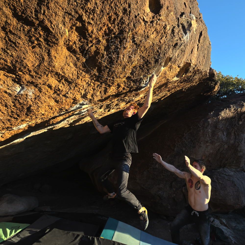 Filename: SRM_20230129_1703013.jpg
Aperture: f/5.6
Shutter Speed: 1/1000
Body: Canon EOS R6
Lens: Canon EF 16-35mm f/2.8 L