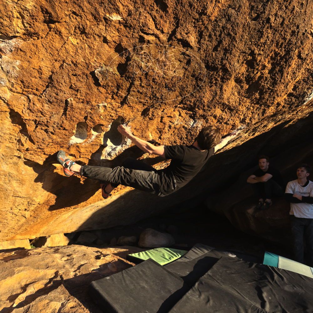 Filename: SRM_20230129_1705340.jpg
Aperture: f/5.6
Shutter Speed: 1/1000
Body: Canon EOS R6
Lens: Canon EF 16-35mm f/2.8 L