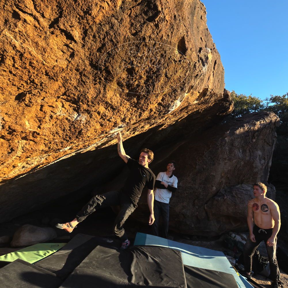 Filename: SRM_20230129_1706164.jpg
Aperture: f/5.6
Shutter Speed: 1/1000
Body: Canon EOS R6
Lens: Canon EF 16-35mm f/2.8 L