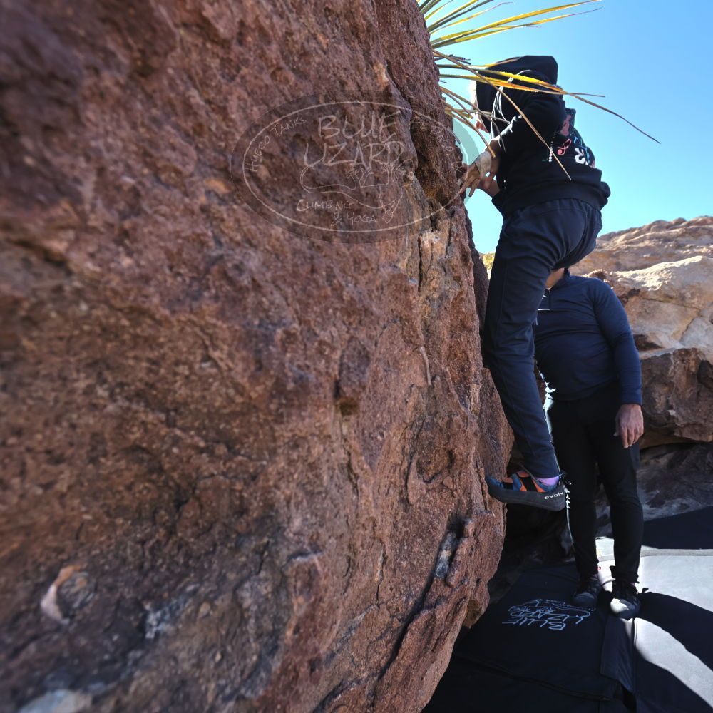 

Filename: SRM_20230210_1341240.jpg
Aperture: f/5.6
Shutter Speed: 1/640
Body: Canon EOS R6
Lens: Canon EF 16-35mm f/2.8 L