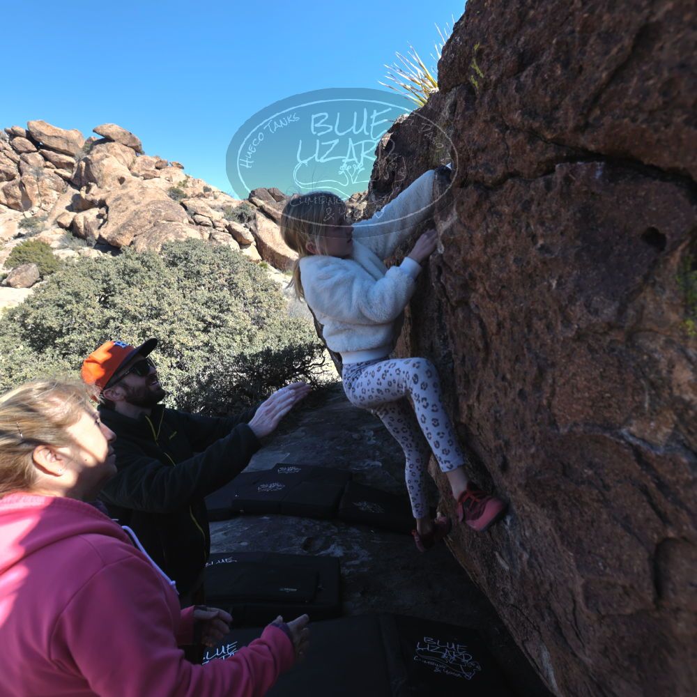 

Filename: SRM_20230210_1348000.jpg
Aperture: f/5.6
Shutter Speed: 1/640
Body: Canon EOS R6
Lens: Canon EF 16-35mm f/2.8 L