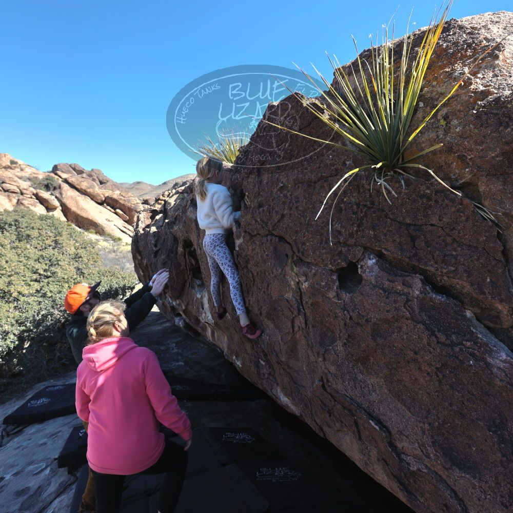 

Filename: SRM_20230210_1348160.jpg
Aperture: f/5.6
Shutter Speed: 1/640
Body: Canon EOS R6
Lens: Canon EF 16-35mm f/2.8 L