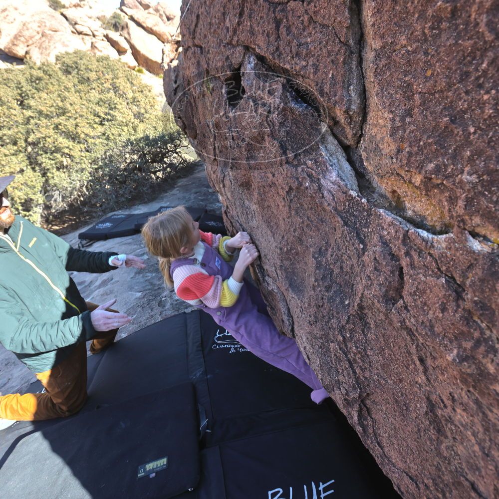 

Filename: SRM_20230210_1353100.jpg
Aperture: f/5.6
Shutter Speed: 1/1250
Body: Canon EOS R6
Lens: Canon EF 16-35mm f/2.8 L