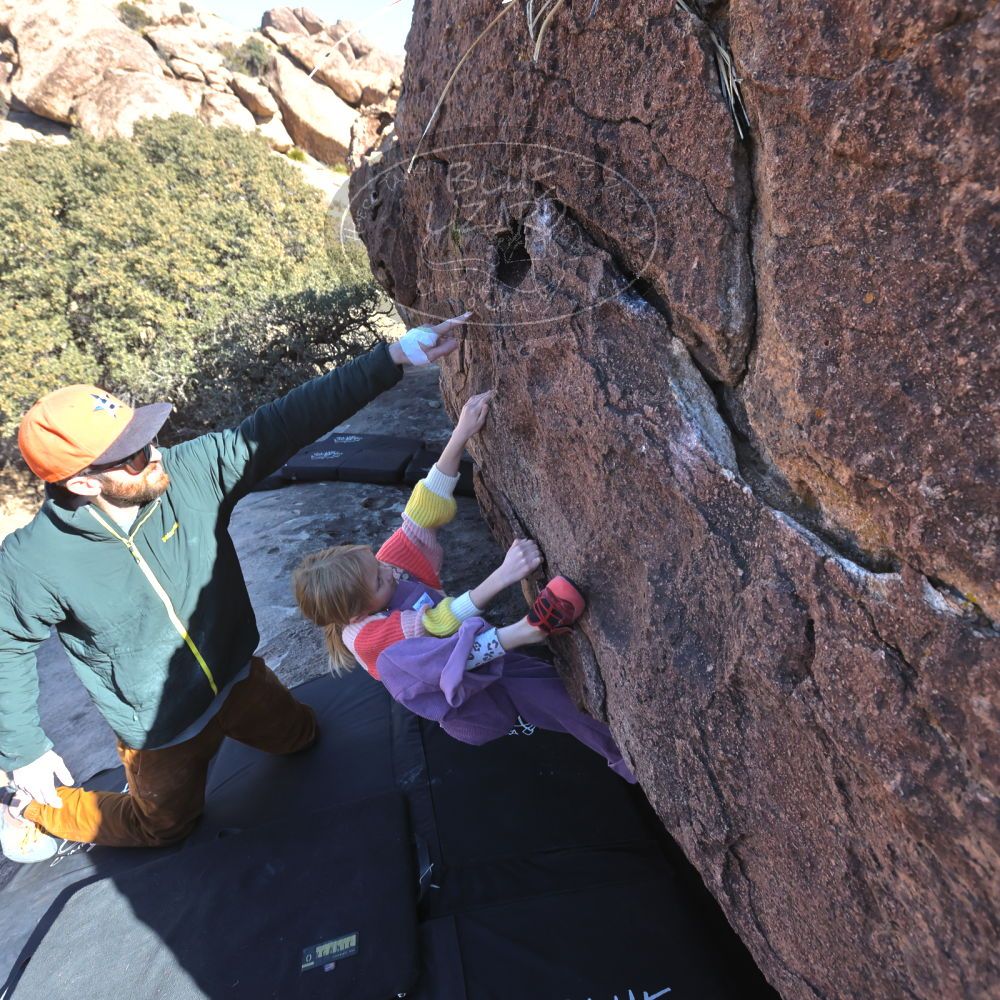 Filename: SRM_20230210_1353140.jpg
Aperture: f/5.6
Shutter Speed: 1/1250
Body: Canon EOS R6
Lens: Canon EF 16-35mm f/2.8 L