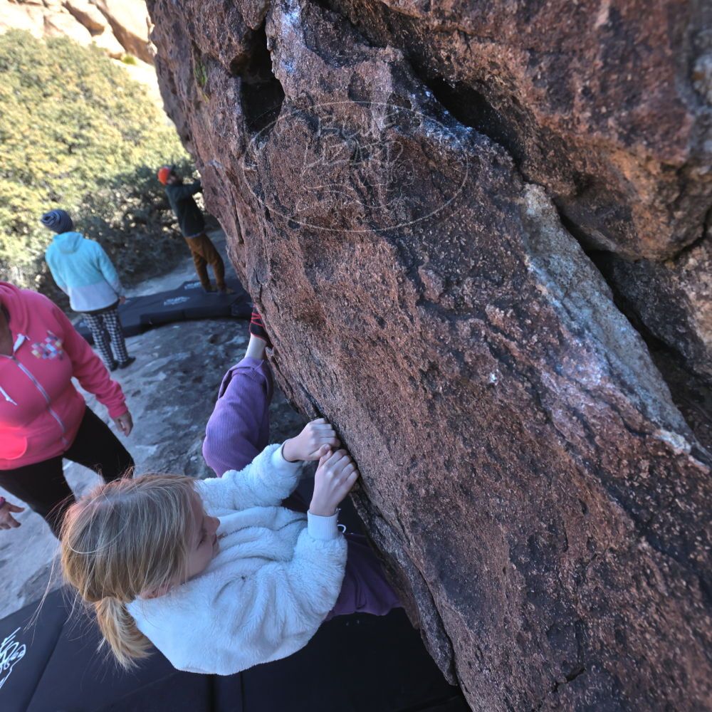 Filename: SRM_20230210_1409330.jpg
Aperture: f/5.6
Shutter Speed: 1/1250
Body: Canon EOS R6
Lens: Canon EF 16-35mm f/2.8 L