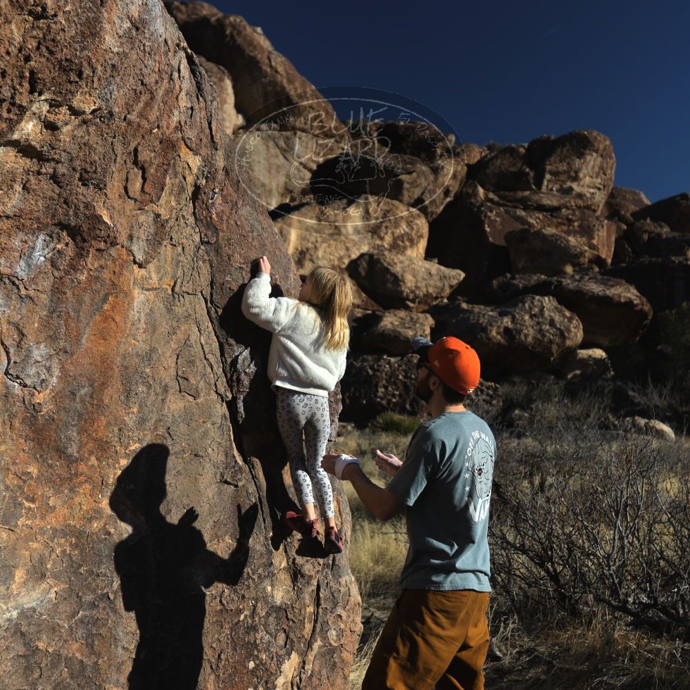 Filename: SRM_20230210_1608460.jpg
Aperture: f/3.5
Shutter Speed: 1/1250
Body: Canon EOS R6
Lens: Canon EF 16-35mm f/2.8 L