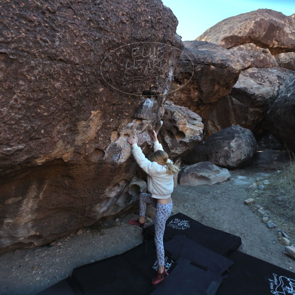 Filename: SRM_20230210_1652400.jpg
Aperture: f/2.8
Shutter Speed: 1/1250
Body: Canon EOS R6
Lens: Canon EF 16-35mm f/2.8 L