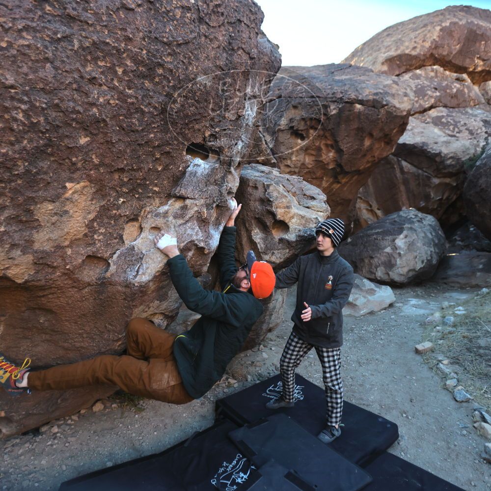 

Filename: SRM_20230210_1655170.jpg
Aperture: f/2.8
Shutter Speed: 1/1250
Body: Canon EOS R6
Lens: Canon EF 16-35mm f/2.8 L