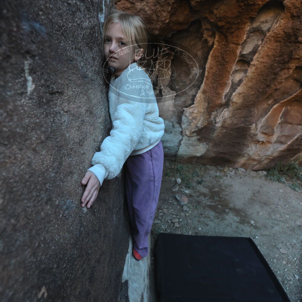 Filename: SRM_20230210_1705100.jpg
Aperture: f/4.0
Shutter Speed: 1/500
Body: Canon EOS R6
Lens: Canon EF 16-35mm f/2.8 L