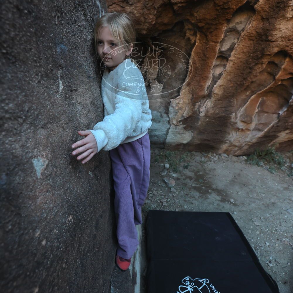 Filename: SRM_20230210_1705150.jpg
Aperture: f/4.0
Shutter Speed: 1/500
Body: Canon EOS R6
Lens: Canon EF 16-35mm f/2.8 L