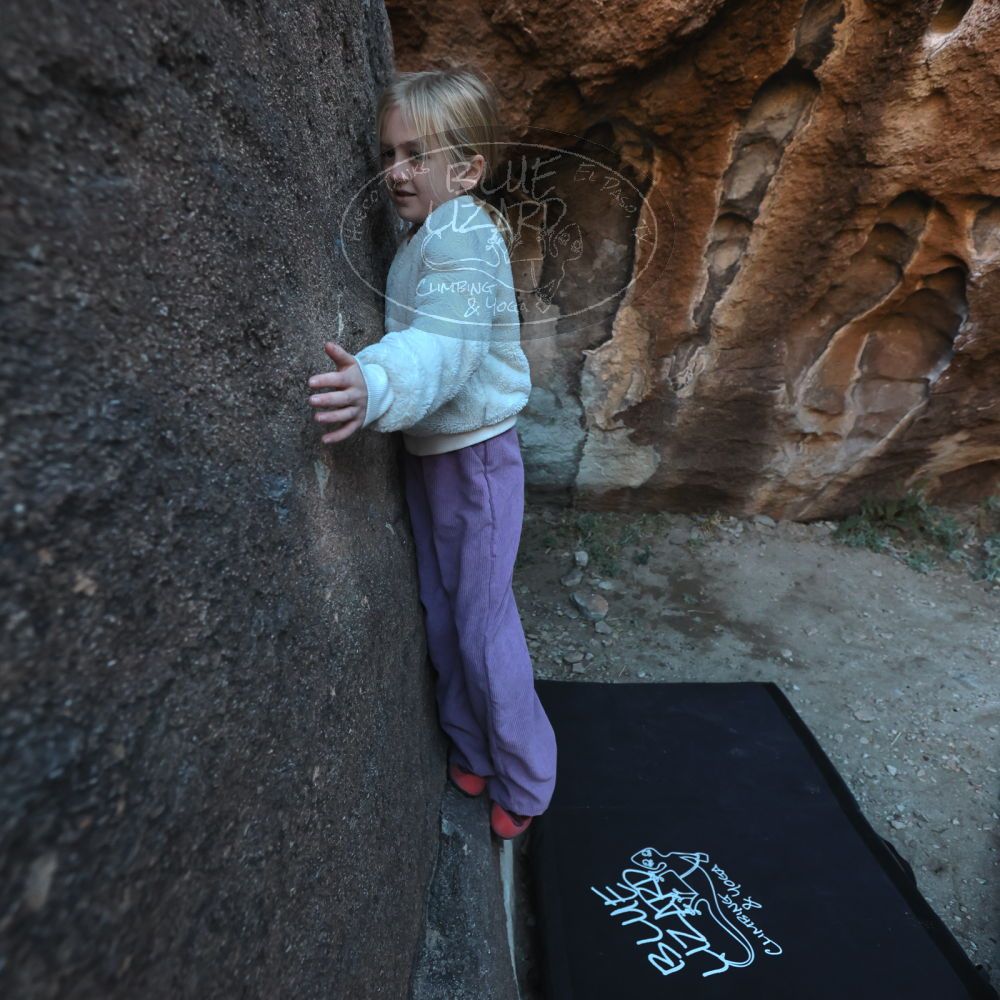 Filename: SRM_20230210_1705190.jpg
Aperture: f/4.0
Shutter Speed: 1/500
Body: Canon EOS R6
Lens: Canon EF 16-35mm f/2.8 L