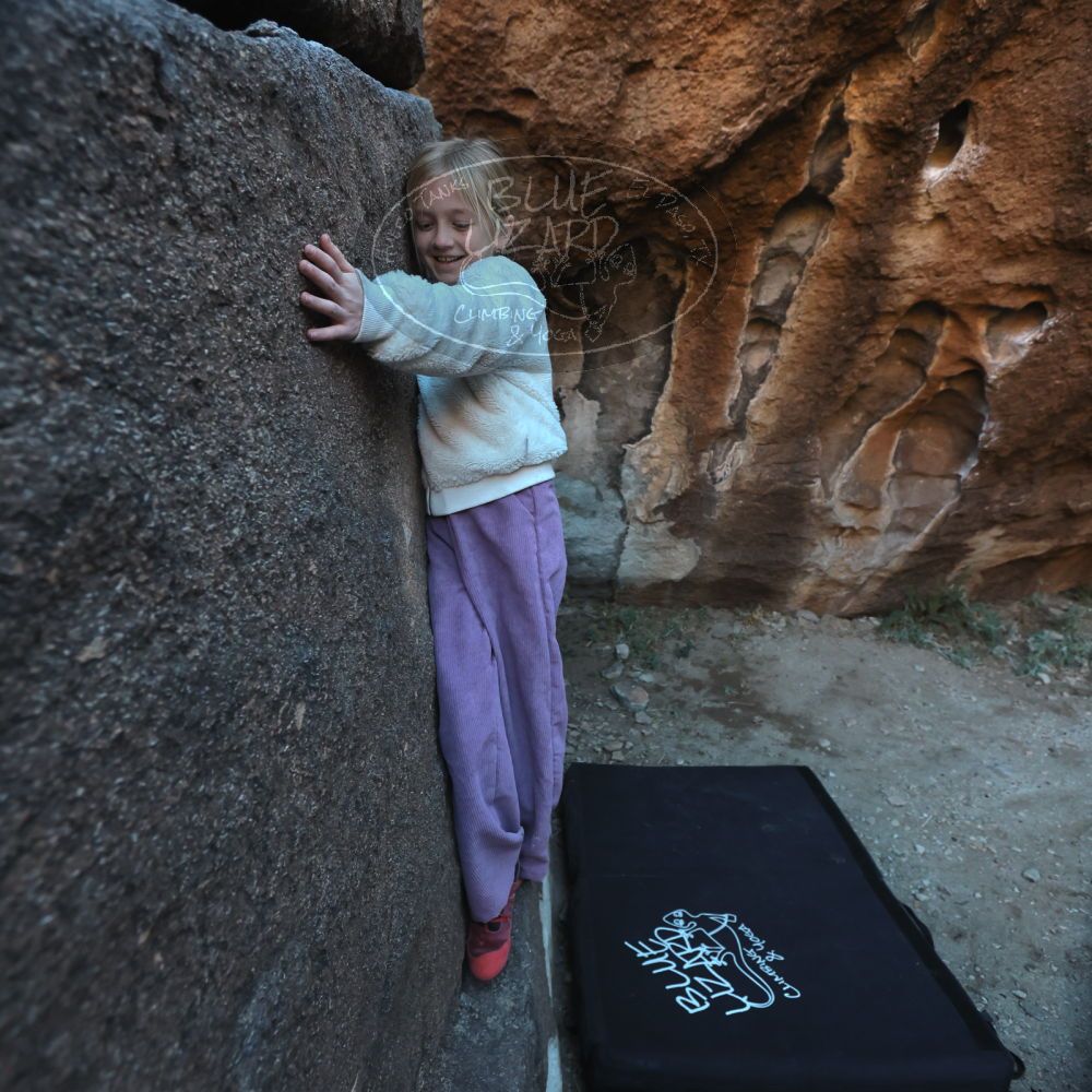 Filename: SRM_20230210_1705250.jpg
Aperture: f/4.0
Shutter Speed: 1/500
Body: Canon EOS R6
Lens: Canon EF 16-35mm f/2.8 L