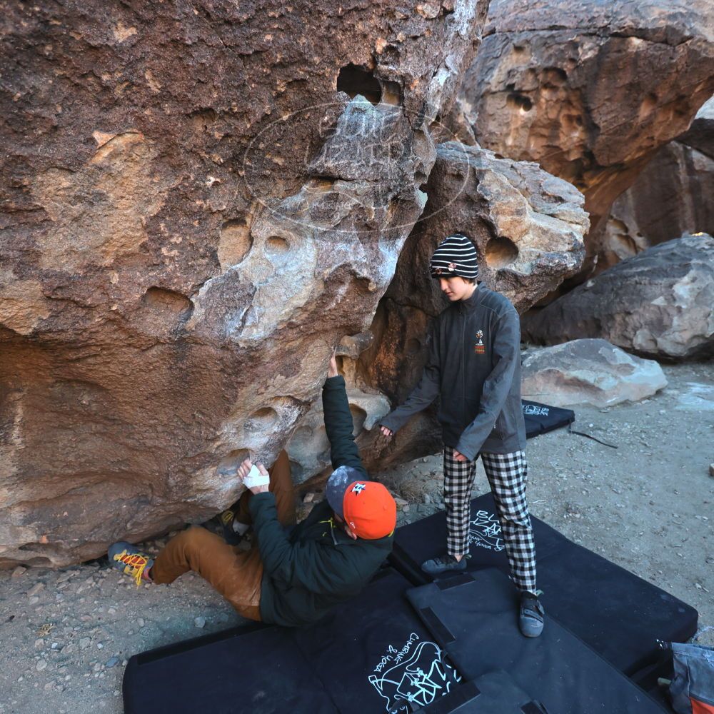 

Filename: SRM_20230210_1706150.jpg
Aperture: f/4.0
Shutter Speed: 1/500
Body: Canon EOS R6
Lens: Canon EF 16-35mm f/2.8 L