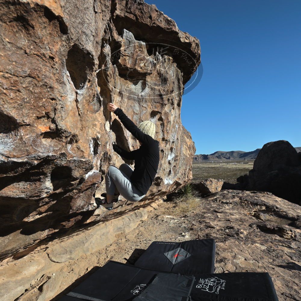 

Filename: SRM_20230216_0903490.jpg
Aperture: f/6.3
Shutter Speed: 1/640
Body: Canon EOS R6
Lens: Canon EF 16-35mm f/2.8 L