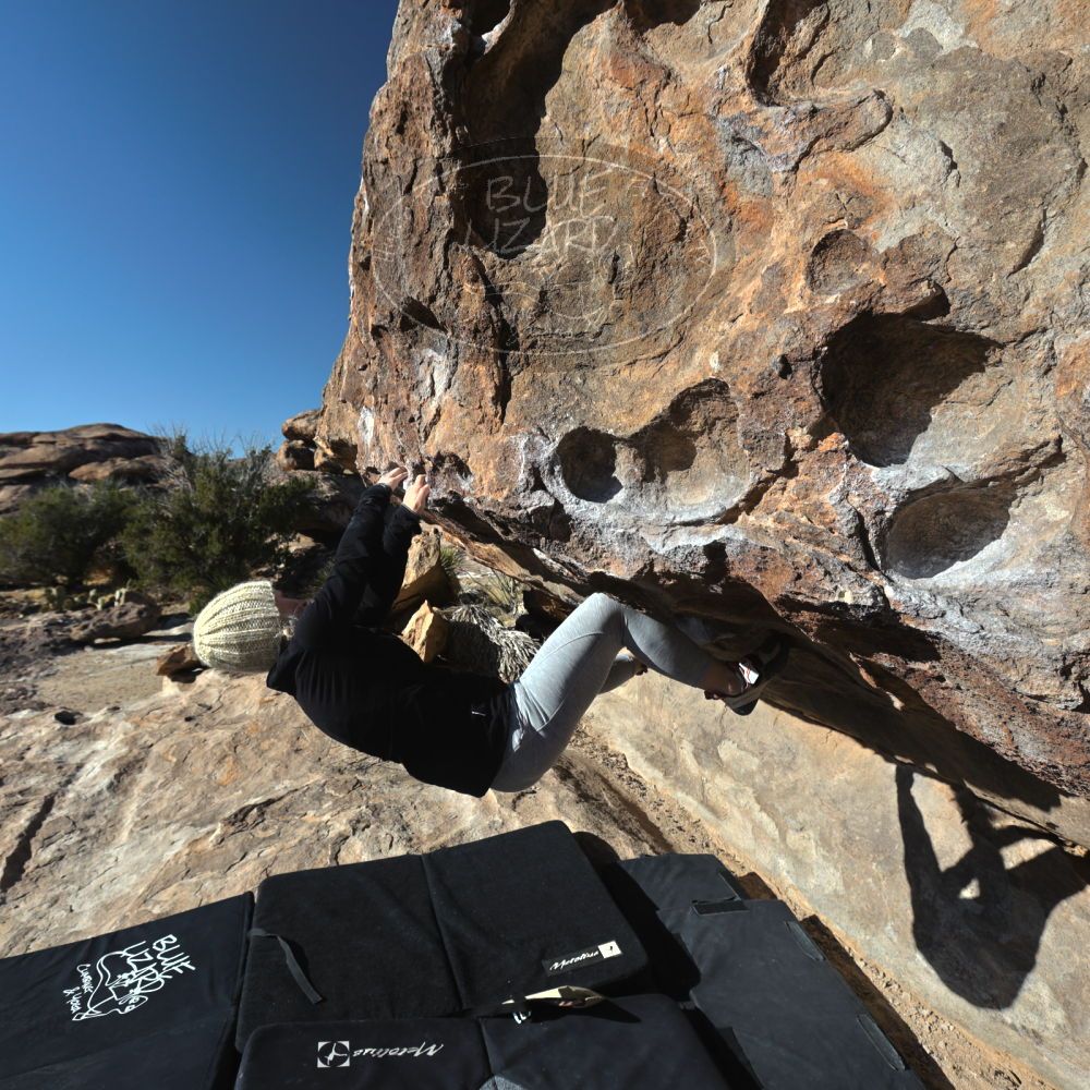 

Filename: SRM_20230216_0915430.jpg
Aperture: f/6.3
Shutter Speed: 1/640
Body: Canon EOS R6
Lens: Canon EF 16-35mm f/2.8 L