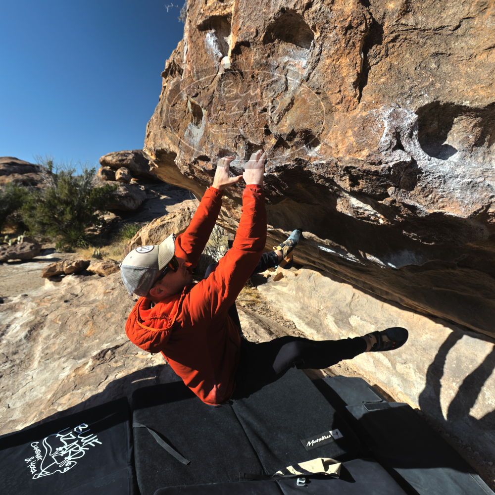 

Filename: SRM_20230216_0919320.jpg
Aperture: f/5.6
Shutter Speed: 1/800
Body: Canon EOS R6
Lens: Canon EF 16-35mm f/2.8 L