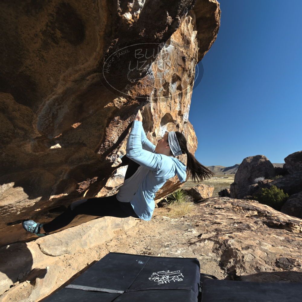 

Filename: SRM_20230216_0921510.jpg
Aperture: f/5.6
Shutter Speed: 1/800
Body: Canon EOS R6
Lens: Canon EF 16-35mm f/2.8 L