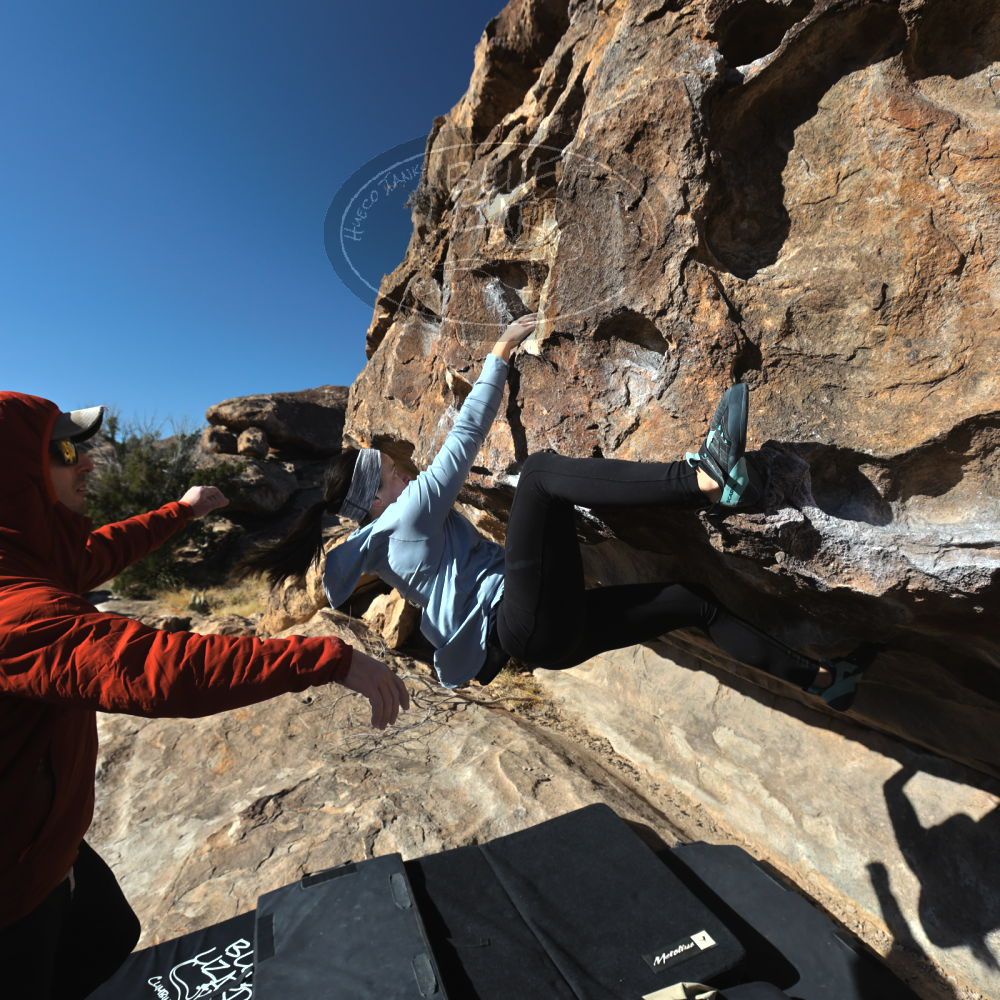 

Filename: SRM_20230216_0929250.jpg
Aperture: f/5.6
Shutter Speed: 1/800
Body: Canon EOS R6
Lens: Canon EF 16-35mm f/2.8 L