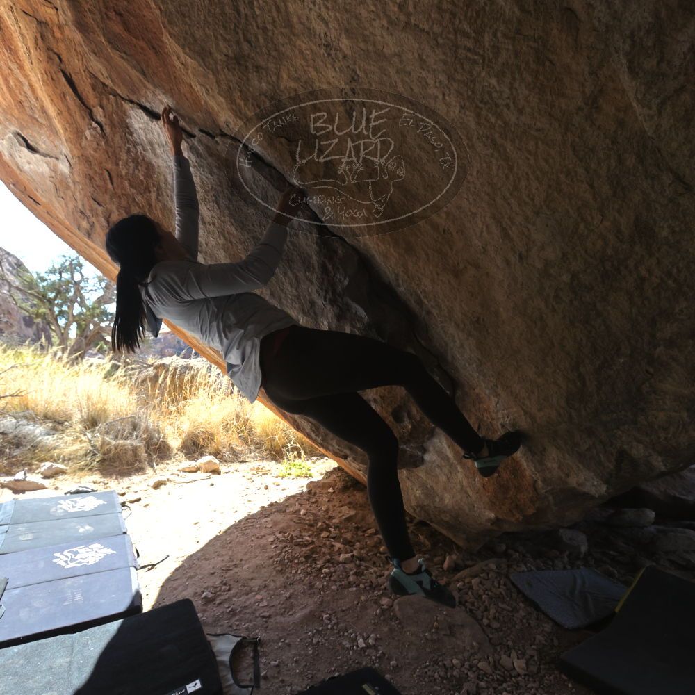 

Filename: SRM_20230216_1217170.jpg
Aperture: f/5.6
Shutter Speed: 1/640
Body: Canon EOS R6
Lens: Canon EF 16-35mm f/2.8 L