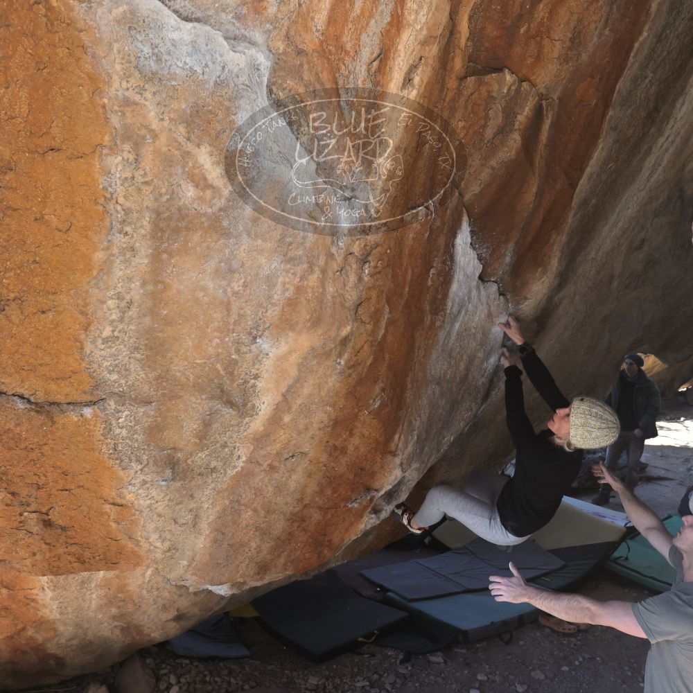 

Filename: SRM_20230216_1225370.jpg
Aperture: f/5.6
Shutter Speed: 1/640
Body: Canon EOS R6
Lens: Canon EF 16-35mm f/2.8 L