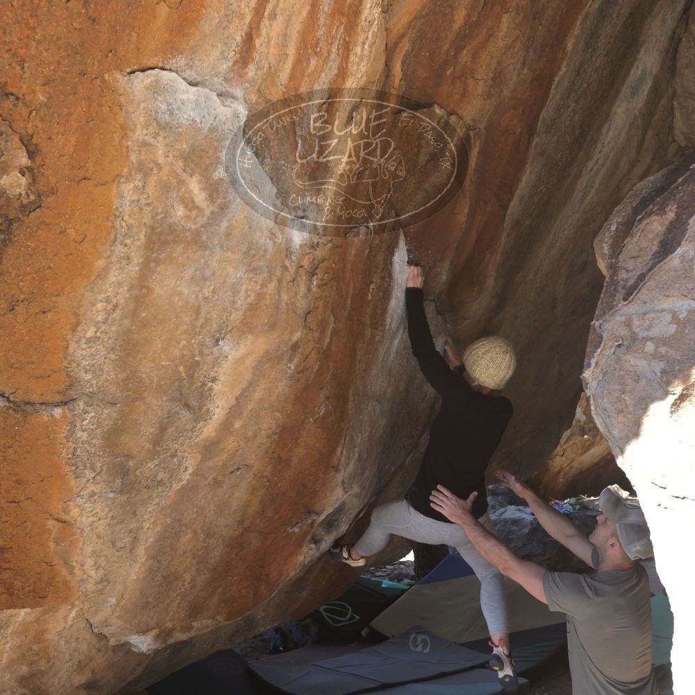 

Filename: SRM_20230216_1231260.jpg
Aperture: f/5.6
Shutter Speed: 1/500
Body: Canon EOS R6
Lens: Canon EF 16-35mm f/2.8 L