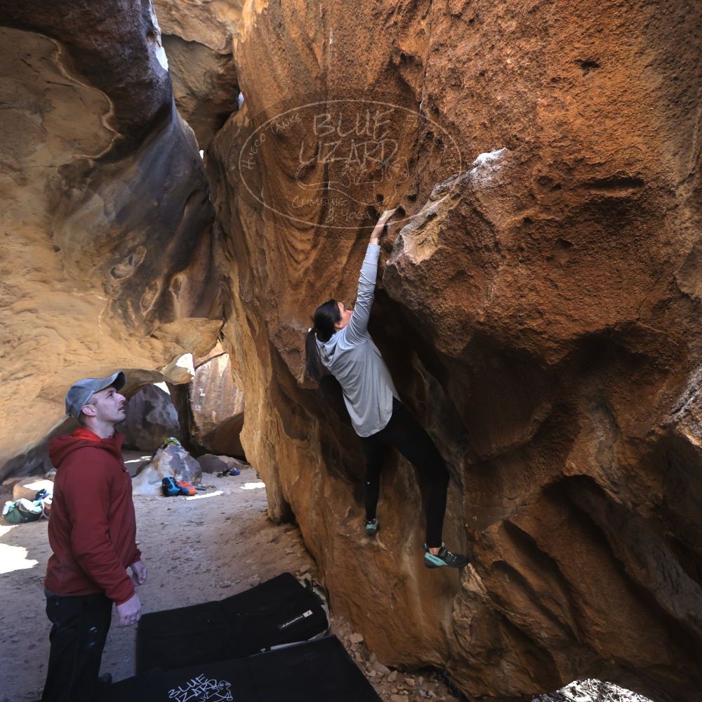 

Filename: SRM_20230216_1458180.jpg
Aperture: f/4.0
Shutter Speed: 1/400
Body: Canon EOS R6
Lens: Canon EF 16-35mm f/2.8 L