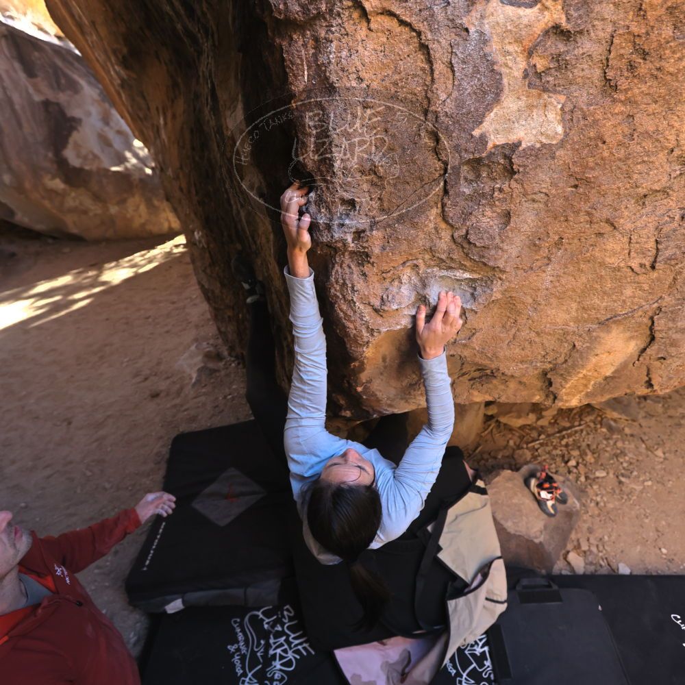 

Filename: SRM_20230216_1527000.jpg
Aperture: f/4.0
Shutter Speed: 1/400
Body: Canon EOS R6
Lens: Canon EF 16-35mm f/2.8 L