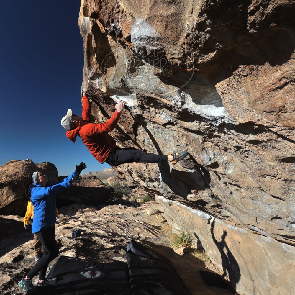 

Filename: SRM_20230216_1605200.jpg
Aperture: f/5.6
Shutter Speed: 1/800
Body: Canon EOS R6
Lens: Canon EF 16-35mm f/2.8 L