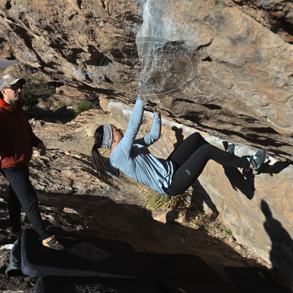 

Filename: SRM_20230216_1611520.jpg
Aperture: f/5.6
Shutter Speed: 1/640
Body: Canon EOS R6
Lens: Canon EF 16-35mm f/2.8 L