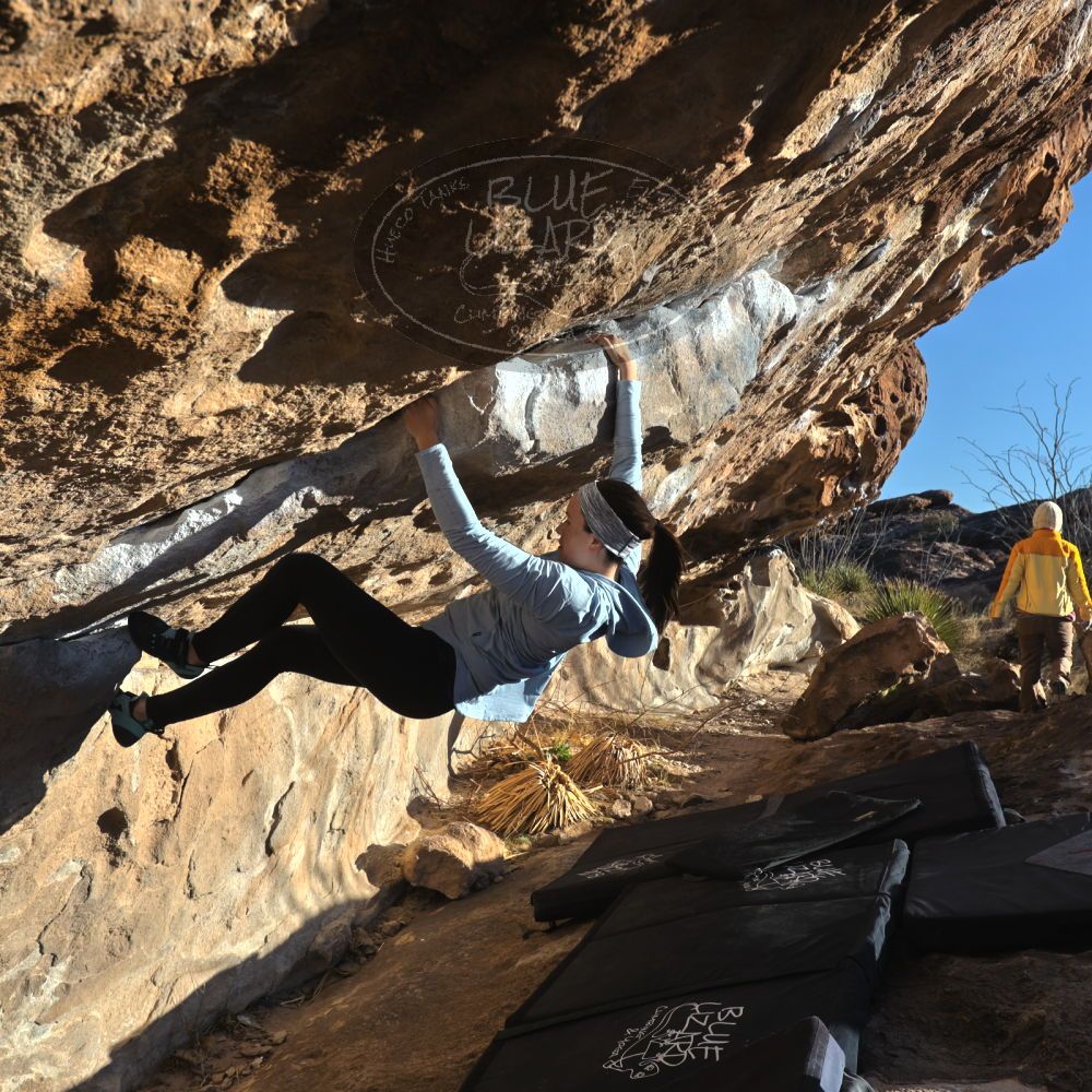 

Filename: SRM_20230216_1633210.jpg
Aperture: f/5.6
Shutter Speed: 1/640
Body: Canon EOS R6
Lens: Canon EF 16-35mm f/2.8 L