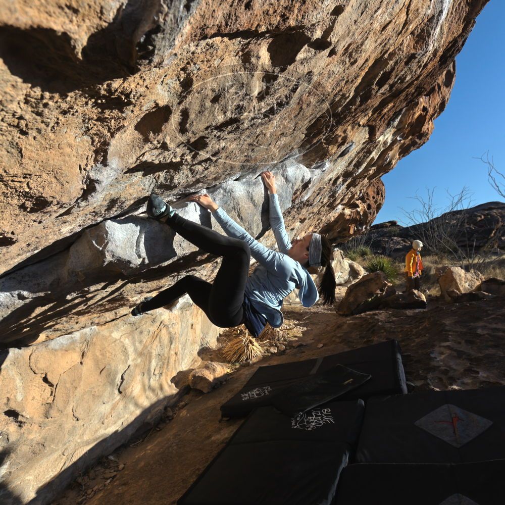 

Filename: SRM_20230216_1633340.jpg
Aperture: f/5.6
Shutter Speed: 1/640
Body: Canon EOS R6
Lens: Canon EF 16-35mm f/2.8 L