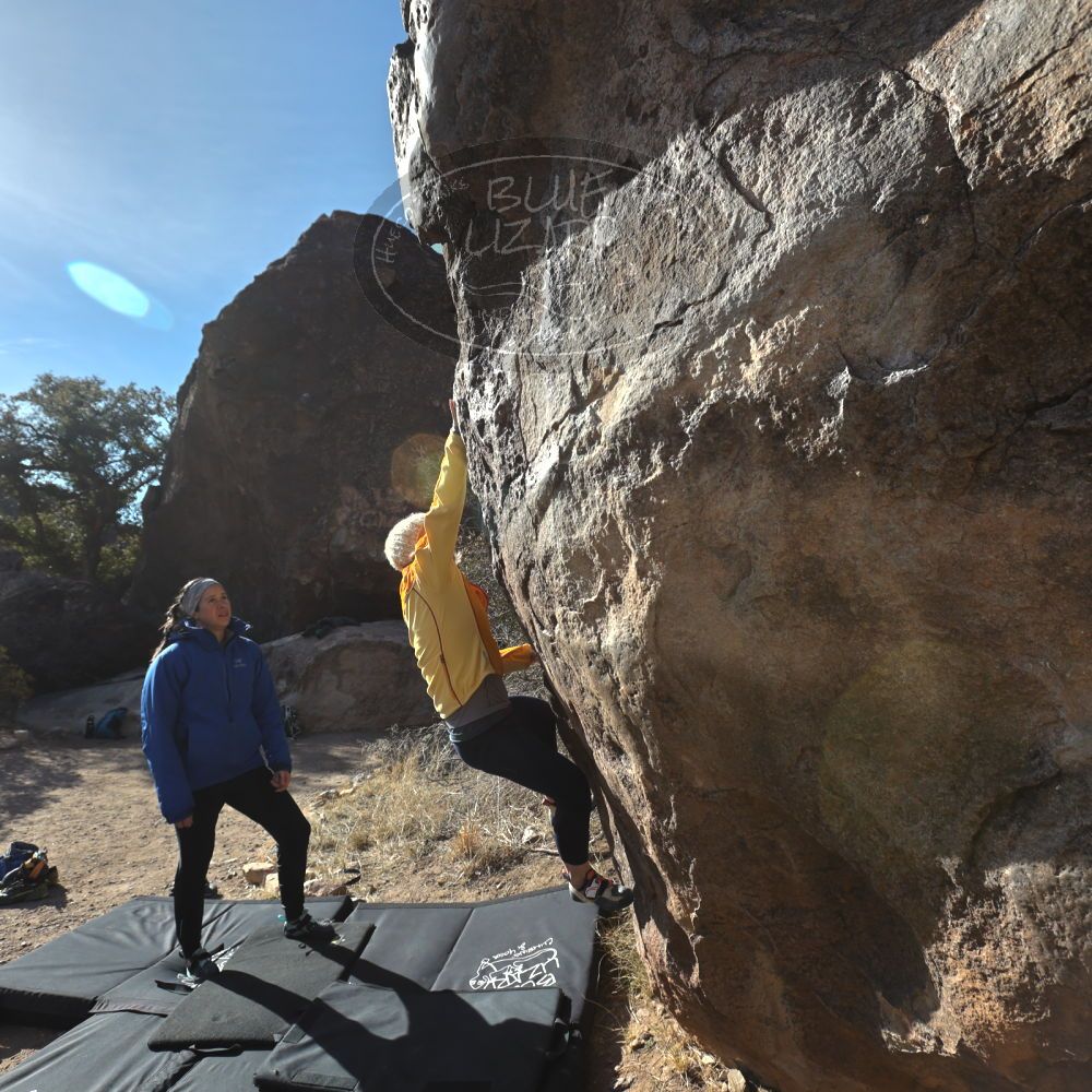 

Filename: SRM_20230217_0912300.jpg
Aperture: f/5.6
Shutter Speed: 1/500
Body: Canon EOS R6
Lens: Canon EF 16-35mm f/2.8 L