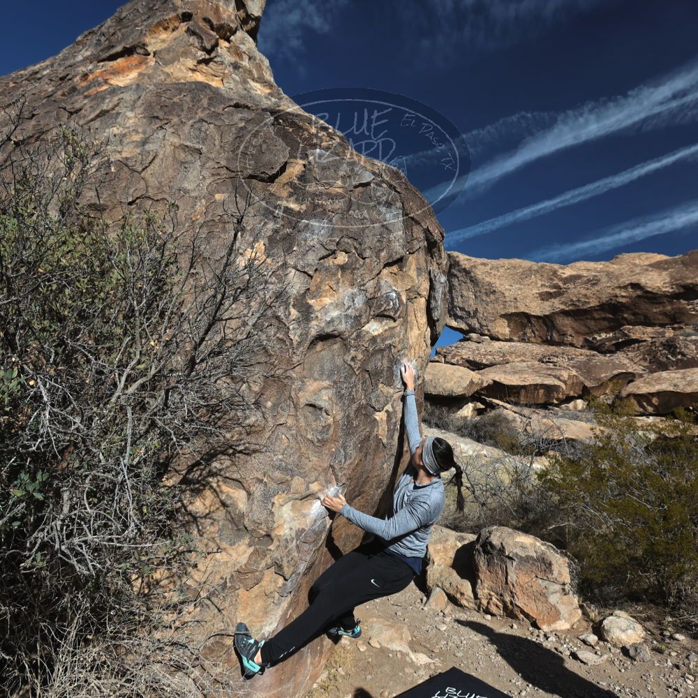 

Filename: SRM_20230217_0915220.jpg
Aperture: f/5.6
Shutter Speed: 1/500
Body: Canon EOS R6
Lens: Canon EF 16-35mm f/2.8 L