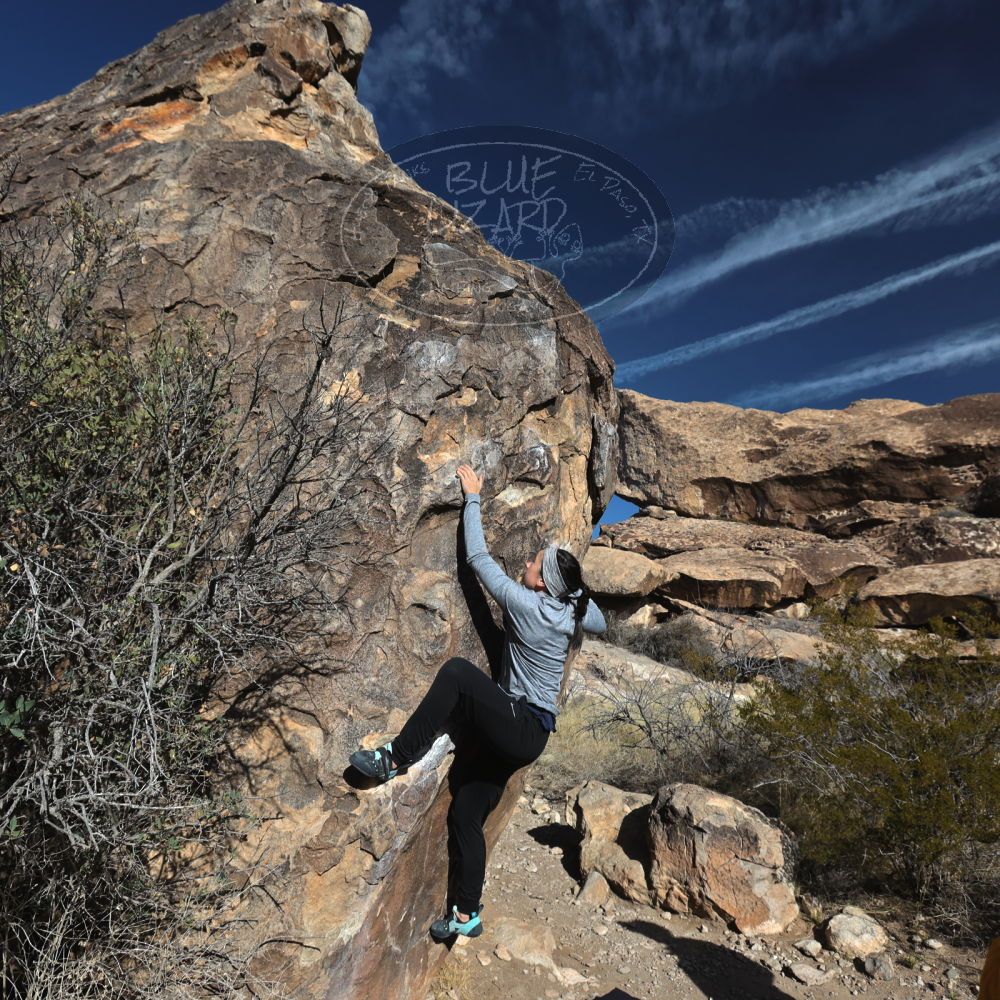 

Filename: SRM_20230217_0915250.jpg
Aperture: f/5.6
Shutter Speed: 1/500
Body: Canon EOS R6
Lens: Canon EF 16-35mm f/2.8 L