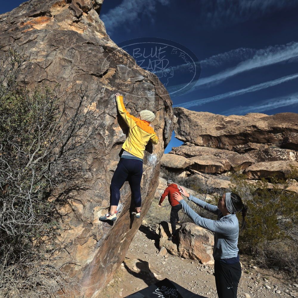 

Filename: SRM_20230217_0916250.jpg
Aperture: f/5.6
Shutter Speed: 1/500
Body: Canon EOS R6
Lens: Canon EF 16-35mm f/2.8 L