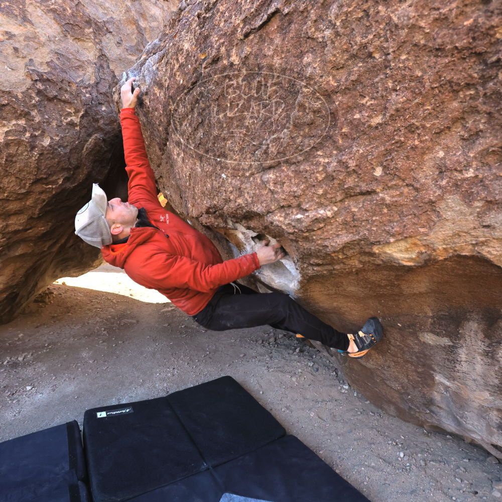 

Filename: SRM_20230217_0935351.jpg
Aperture: f/5.6
Shutter Speed: 1/500
Body: Canon EOS R6
Lens: Canon EF 16-35mm f/2.8 L