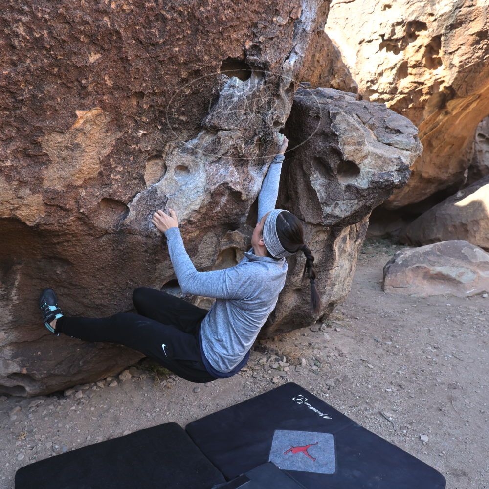 

Filename: SRM_20230217_0952540.jpg
Aperture: f/5.6
Shutter Speed: 1/500
Body: Canon EOS R6
Lens: Canon EF 16-35mm f/2.8 L