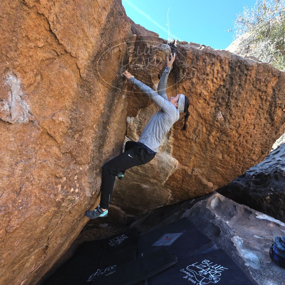 

Filename: SRM_20230217_1042140.jpg
Aperture: f/5.6
Shutter Speed: 1/320
Body: Canon EOS R6
Lens: Canon EF 16-35mm f/2.8 L