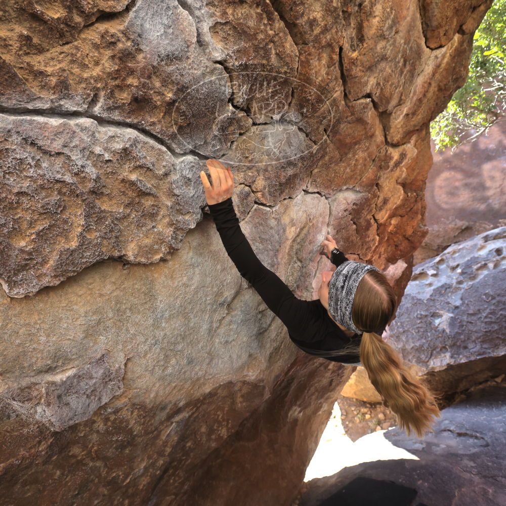 

Filename: SRM_20230217_1055530.jpg
Aperture: f/5.6
Shutter Speed: 1/320
Body: Canon EOS R6
Lens: Canon EF 16-35mm f/2.8 L