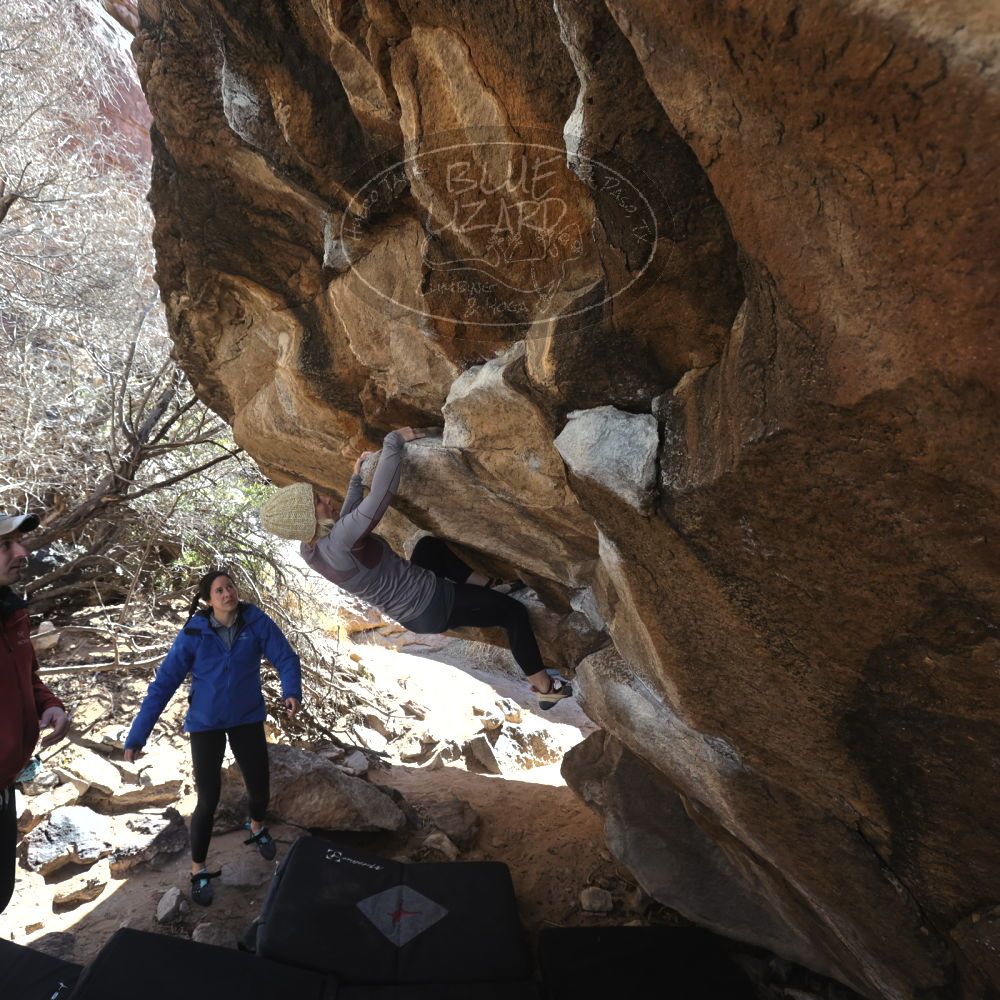 

Filename: SRM_20230217_1238230.jpg
Aperture: f/5.6
Shutter Speed: 1/320
Body: Canon EOS R6
Lens: Canon EF 16-35mm f/2.8 L